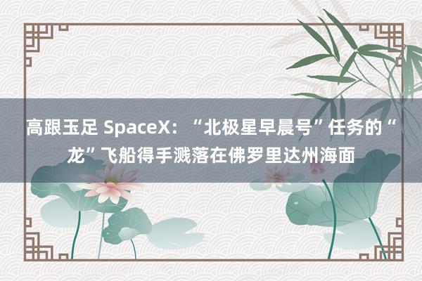 高跟玉足 SpaceX：“北极星早晨号”任务的“龙”飞船得手溅落在佛罗里达州海面