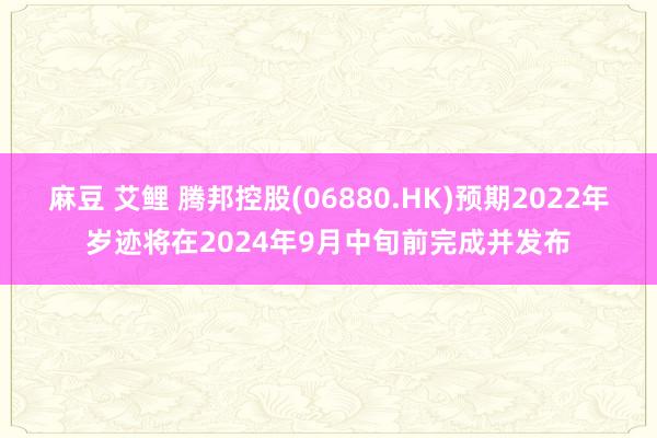 麻豆 艾鲤 腾邦控股(06880.HK)预期2022年岁迹将在2024年9月中旬前完成并发布