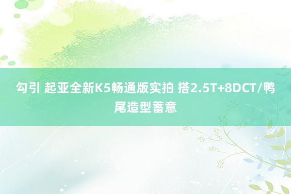 勾引 起亚全新K5畅通版实拍 搭2.5T+8DCT/鸭尾造型蓄意