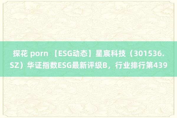 探花 porn 【ESG动态】星宸科技（301536.SZ）华证指数ESG最新评级B，行业排行第439