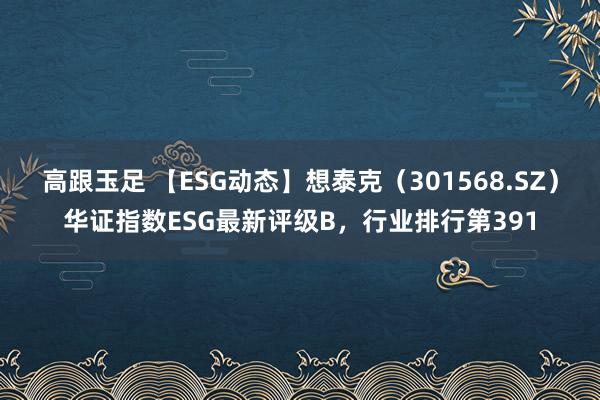 高跟玉足 【ESG动态】想泰克（301568.SZ）华证指数ESG最新评级B，行业排行第391