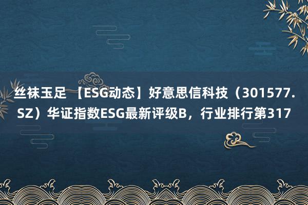 丝袜玉足 【ESG动态】好意思信科技（301577.SZ）华证指数ESG最新评级B，行业排行第317