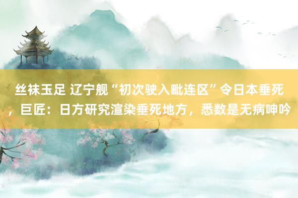 丝袜玉足 辽宁舰“初次驶入毗连区”令日本垂死，巨匠：日方研究渲染垂死地方，悉数是无病呻吟