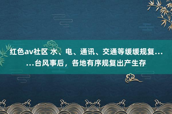 红色av社区 水、电、通讯、交通等缓缓规复……台风事后，各地有序规复出产生存