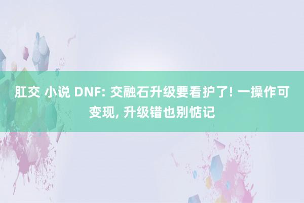 肛交 小说 DNF: 交融石升级要看护了! 一操作可变现， 升级错也别惦记