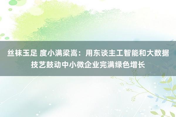 丝袜玉足 度小满梁嵩：用东谈主工智能和大数据技艺鼓动中小微企业完满绿色增长