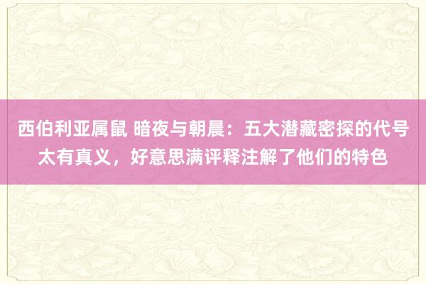 西伯利亚属鼠 暗夜与朝晨：五大潜藏密探的代号太有真义，好意思满评释注解了他们的特色