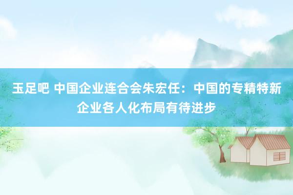 玉足吧 中国企业连合会朱宏任：中国的专精特新企业各人化布局有待进步