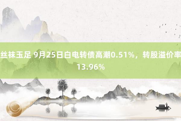 丝袜玉足 9月25日白电转债高潮0.51%，转股溢价率13.96%