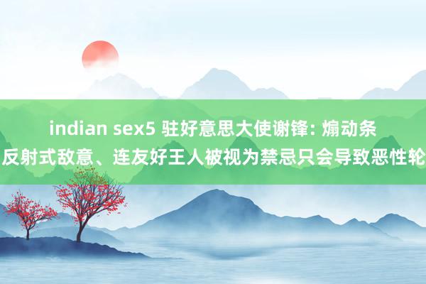 indian sex5 驻好意思大使谢锋: 煽动条目反射式敌意、连友好王人被视为禁忌只会导致恶性轮回