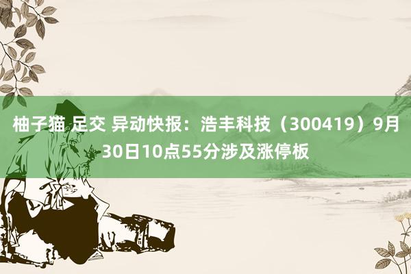 柚子猫 足交 异动快报：浩丰科技（300419）9月30日10点55分涉及涨停板