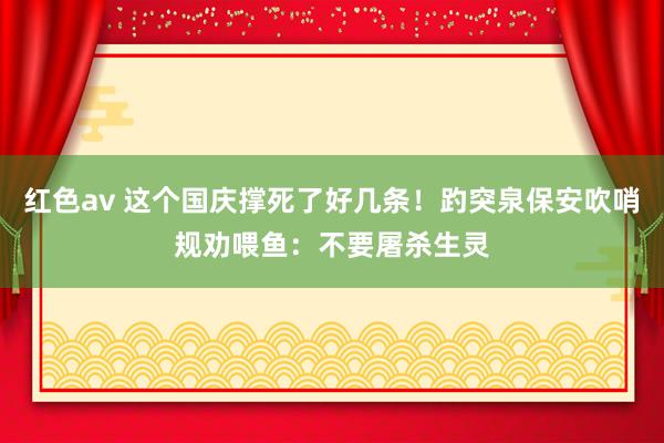 红色av 这个国庆撑死了好几条！趵突泉保安吹哨规劝喂鱼：不要屠杀生灵