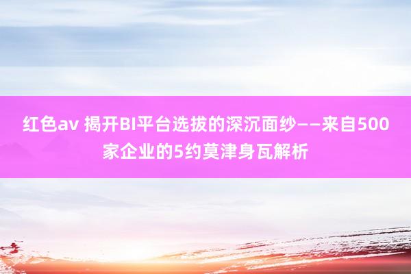 红色av 揭开BI平台选拔的深沉面纱——来自500家企业的5约莫津身瓦解析