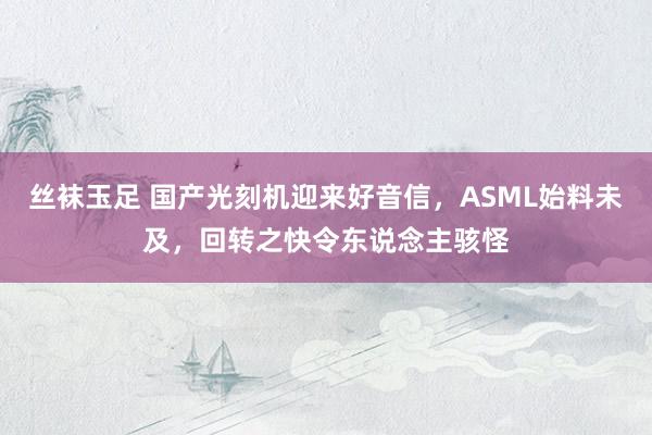 丝袜玉足 国产光刻机迎来好音信，ASML始料未及，回转之快令东说念主骇怪