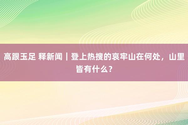 高跟玉足 释新闻｜登上热搜的哀牢山在何处，山里皆有什么？