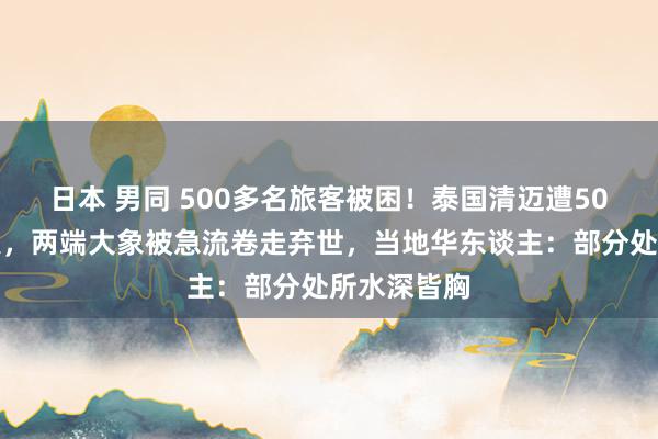 日本 男同 500多名旅客被困！泰国清迈遭50年最大洪灾，两端大象被急流卷走弃世，当地华东谈主：部分处所水深皆胸