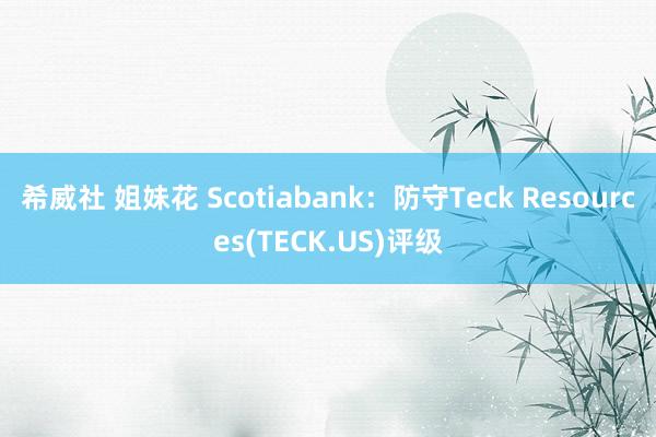 希威社 姐妹花 Scotiabank：防守Teck Resources(TECK.US)评级