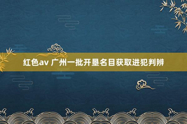 红色av 广州一批开垦名目获取进犯判辨