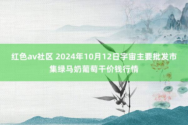 红色av社区 2024年10月12日宇宙主要批发市集绿马奶葡萄干价钱行情