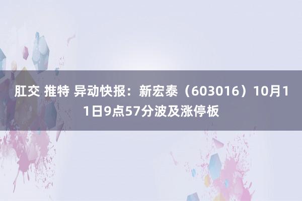 肛交 推特 异动快报：新宏泰（603016）10月11日9点57分波及涨停板