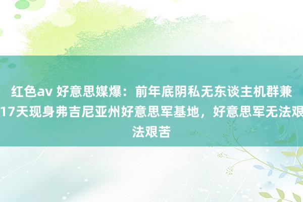 红色av 好意思媒爆：前年底阴私无东谈主机群兼并17天现身弗吉尼亚州好意思军基地，好意思军无法艰苦