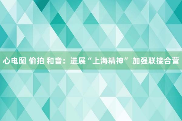 心电图 偷拍 和音：进展“上海精神” 加强联接合营