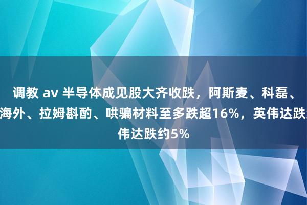 调教 av 半导体成见股大齐收跌，阿斯麦、科磊、ASM海外、拉姆斟酌、哄骗材料至多跌超16%，英伟达跌约5%