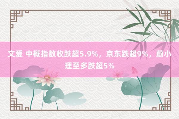 文爱 中概指数收跌超5.9%，京东跌超9%，蔚小理至多跌超5%