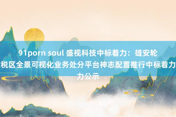 91porn soul 盛视科技中标着力：雄安轮廓保税区全景可视化业务处分平台神志配置推行中标着力公示