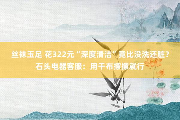 丝袜玉足 花322元“深度清洁”竟比没洗还脏？石头电器客服：用干布擦擦就行