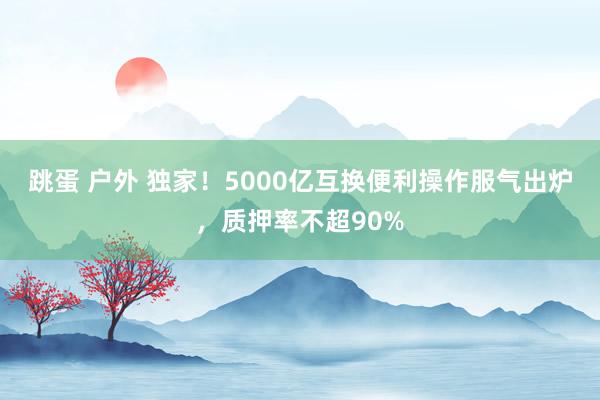 跳蛋 户外 独家！5000亿互换便利操作服气出炉，质押率不超90%