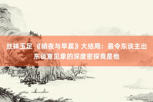 丝袜玉足 《暗夜与早晨》大结局：最令东谈主出东谈意见象的深度密探竟是他