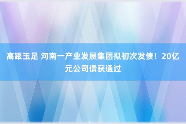 高跟玉足 河南一产业发展集团拟初次发债！20亿元公司债获通过