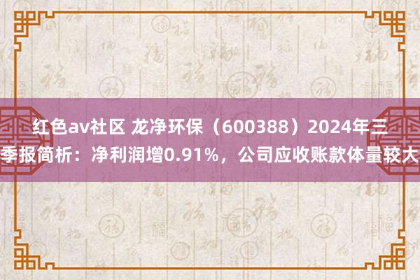 红色av社区 龙净环保（600388）2024年三季报简析：净利润增0.91%，公司应收账款体量较大