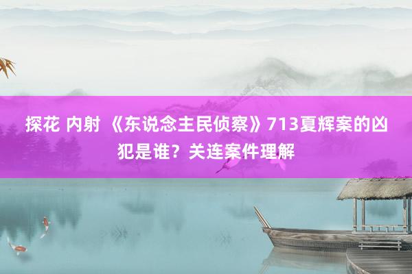 探花 内射 《东说念主民侦察》713夏辉案的凶犯是谁？关连案件理解