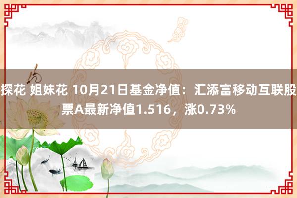 探花 姐妹花 10月21日基金净值：汇添富移动互联股票A最新净值1.516，涨0.73%