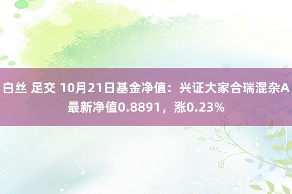 白丝 足交 10月21日基金净值：兴证大家合瑞混杂A最新净值0.8891，涨0.23%