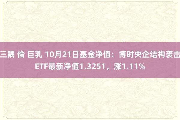 三隅 倫 巨乳 10月21日基金净值：博时央企结构袭击ETF最新净值1.3251，涨1.11%