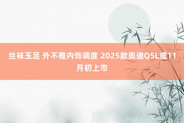 丝袜玉足 外不雅内饰调度 2025款奥迪Q5L或11月初上市