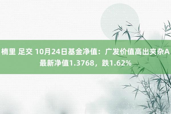 楠里 足交 10月24日基金净值：广发价值高出夹杂A最新净值1.3768，跌1.62%