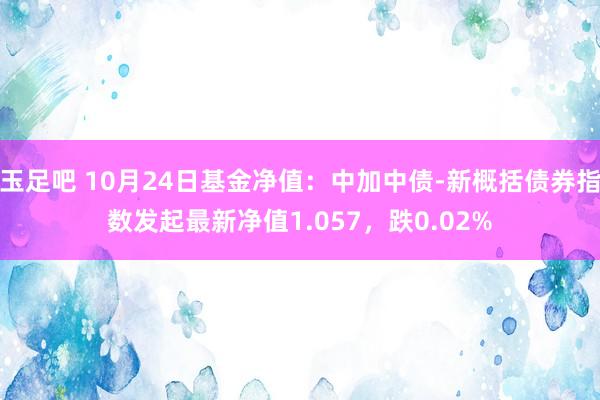 玉足吧 10月24日基金净值：中加中债-新概括债券指数发起最新净值1.057，跌0.02%