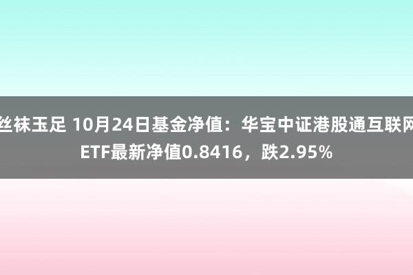 丝袜玉足 10月24日基金净值：华宝中证港股通互联网ETF最新净值0.8416，跌2.95%