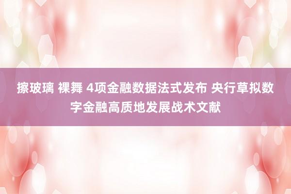 擦玻璃 裸舞 4项金融数据法式发布 央行草拟数字金融高质地发展战术文献