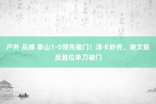 户外 品牌 泰山1-0领先破门！泽卡妙传，谢文能反越位单刀破门