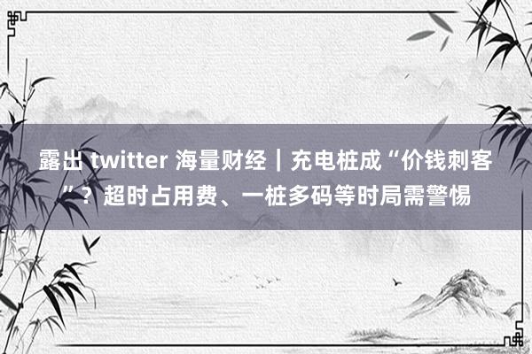 露出 twitter 海量财经｜充电桩成“价钱刺客”？超时占用费、一桩多码等时局需警惕