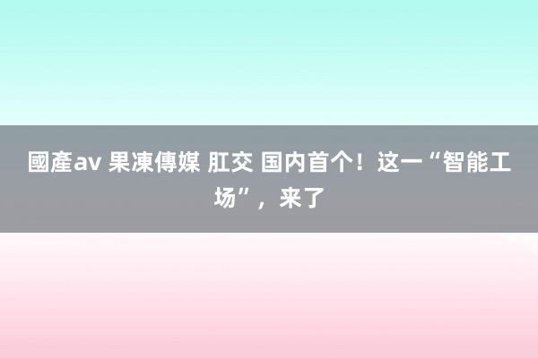 國產av 果凍傳媒 肛交 国内首个！这一“智能工场”，来了