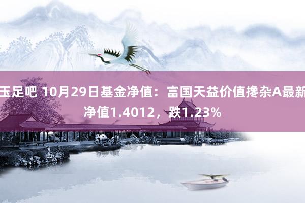 玉足吧 10月29日基金净值：富国天益价值搀杂A最新净值1.4012，跌1.23%