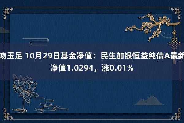 吻玉足 10月29日基金净值：民生加银恒益纯债A最新净值1.0294，涨0.01%