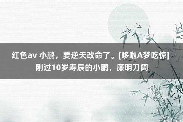 红色av 小鹏，要逆天改命了。[哆啦A梦吃惊] 刚过10岁寿辰的小鹏，廉明刀阔