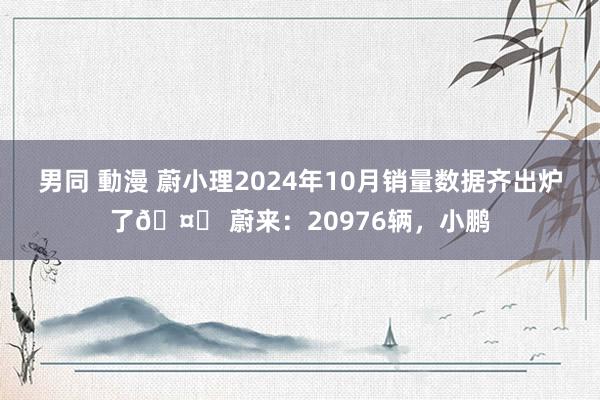 男同 動漫 蔚小理2024年10月销量数据齐出炉了🤔 蔚来：20976辆，小鹏